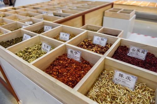 太行药乡 中药材点亮脱贫致富小康路