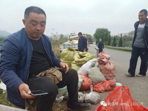 沂水诸葛大集 中草药收购摊里的乡土智慧与本草传承