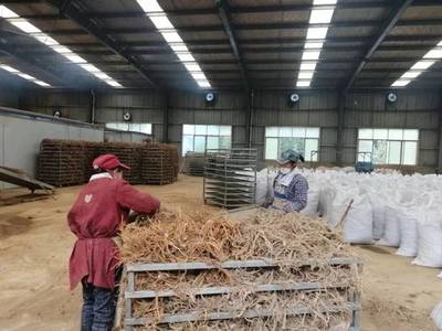 脱贫攻坚春季攻势 | 温泉镇 前胡产业助力脱贫攻坚 中草药收购惠及农户